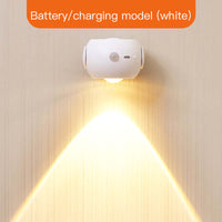 White USB Charging And AAA Bat
