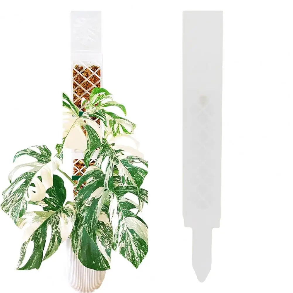 D-Shape Plant Support Grid Set | Semi-Transparent | Self-Watering | Stackable