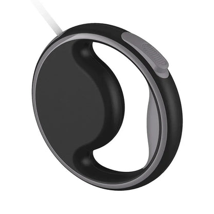 Intelligent Dog Lead for Safe Walking