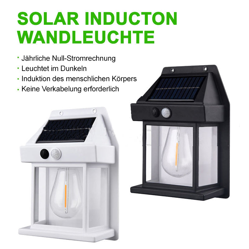 Buy One Get One Free | Outdoor Solar Wall Light