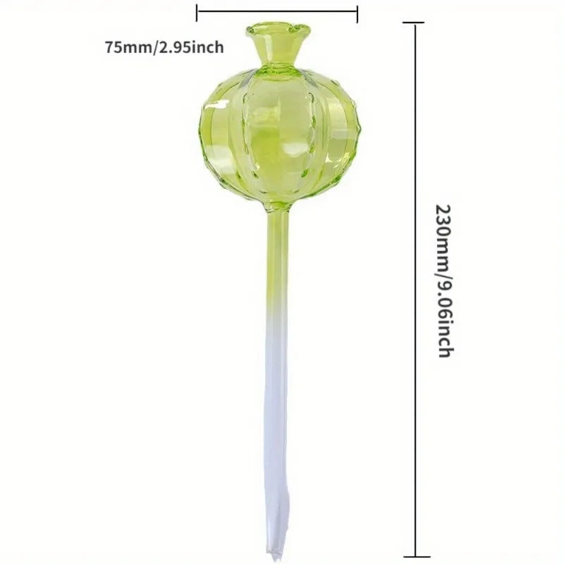 Self-Watering Plant Globes – Glass Set of 2 for Indoor and Outdoor Use