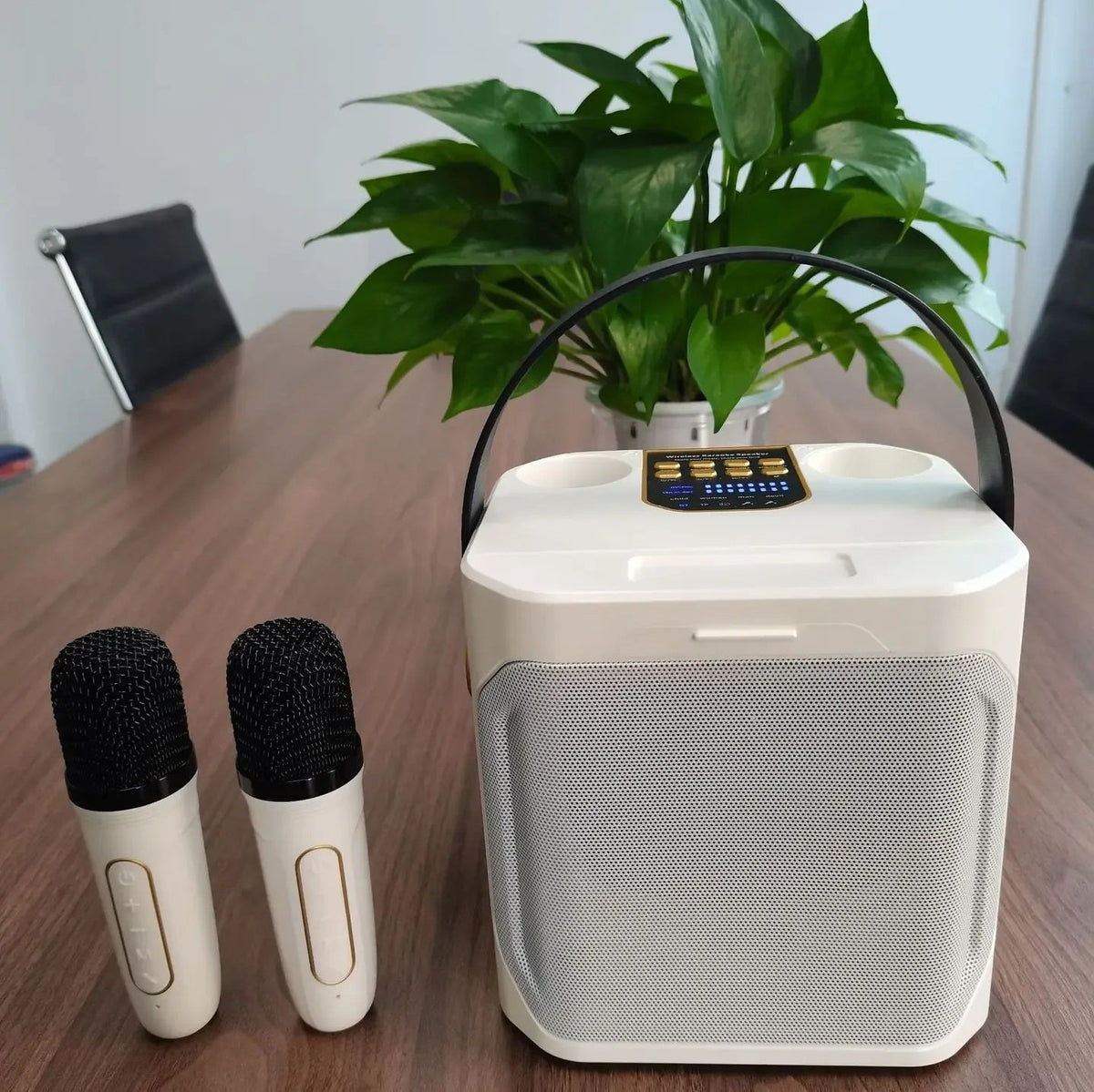 Bluetooth Karaoke Speaker with High Power and Portability