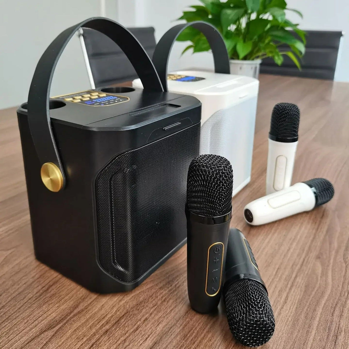Bluetooth Karaoke Speaker with High Power and Portability