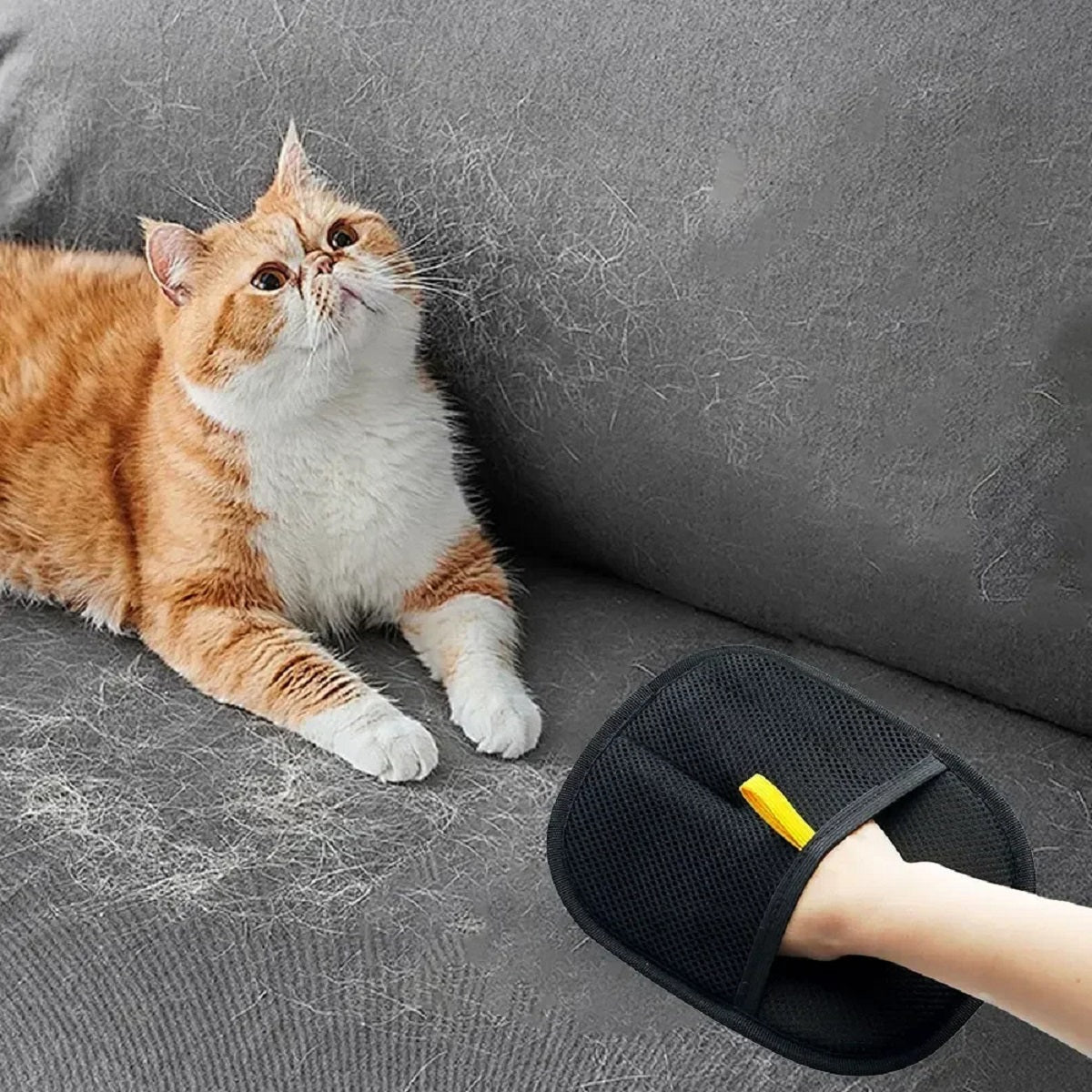 Hair Removal Mitt for Cats and Dogs - Gentle Grooming Glove