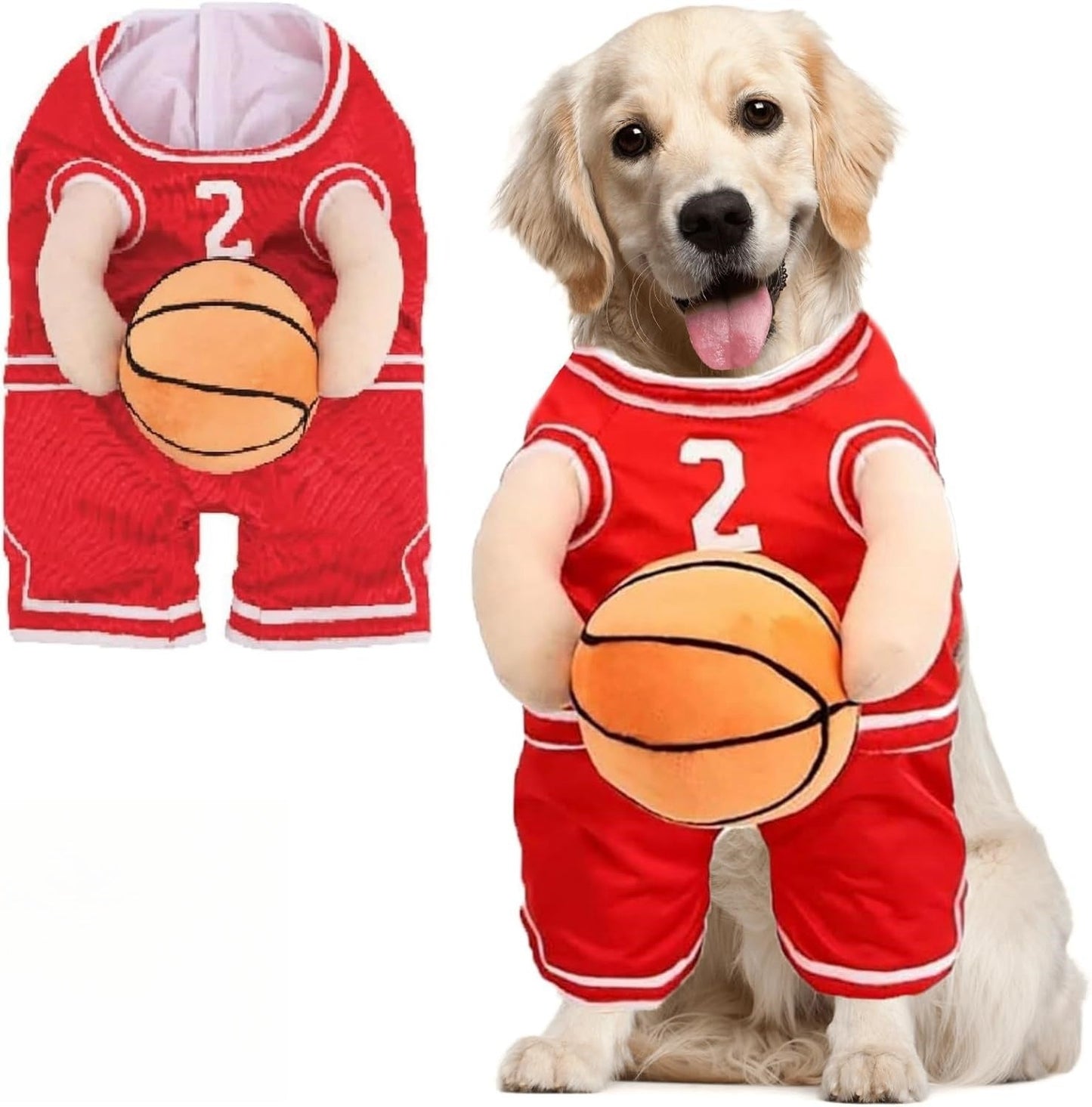 Stylish Dog Basketball Set with Matching Ball for Active Puppies