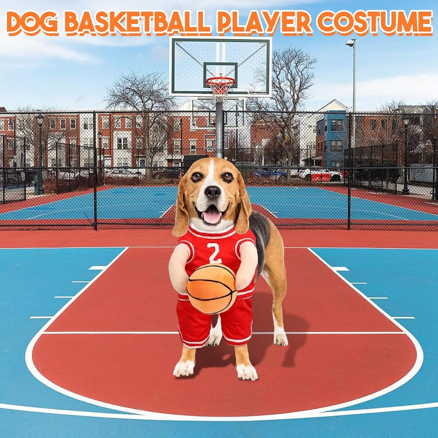 Stylish Dog Basketball Set with Matching Ball for Active Puppies