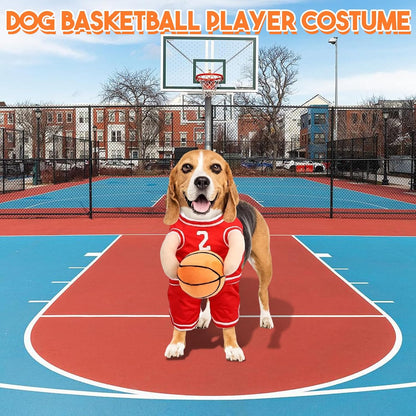 Stylish Dog Basketball Set with Matching Ball for Active Puppies