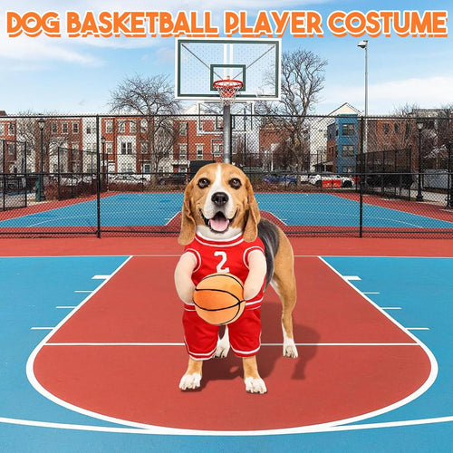Stylish Dog Basketball Set with Matching Ball for Active Puppies