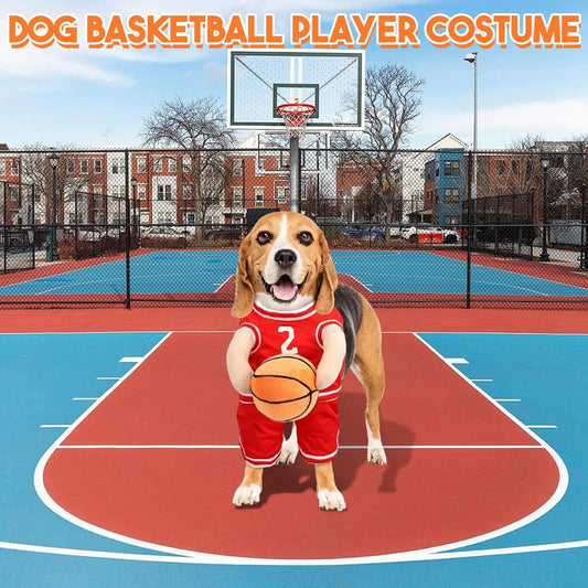 Stylish Dog Basketball Set with Matching Ball for Active Puppies