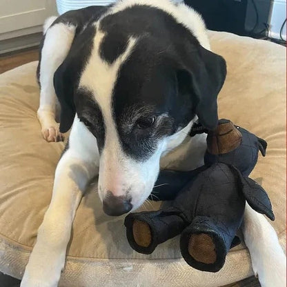 Ultimate Durable Chew Toy for Strong Chewers - Bear Design