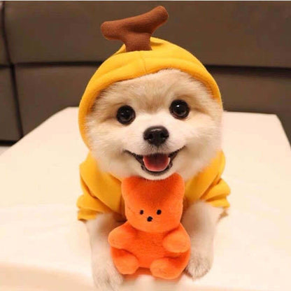 Charming Fleece Hoodie for Small Dogs with Fun Hood Details