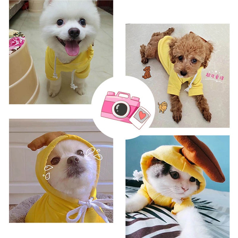 Charming Fleece Hoodie for Small Dogs with Fun Hood Details