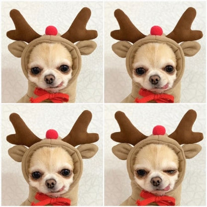 Charming Fleece Hoodie for Small Dogs with Fun Hood Details