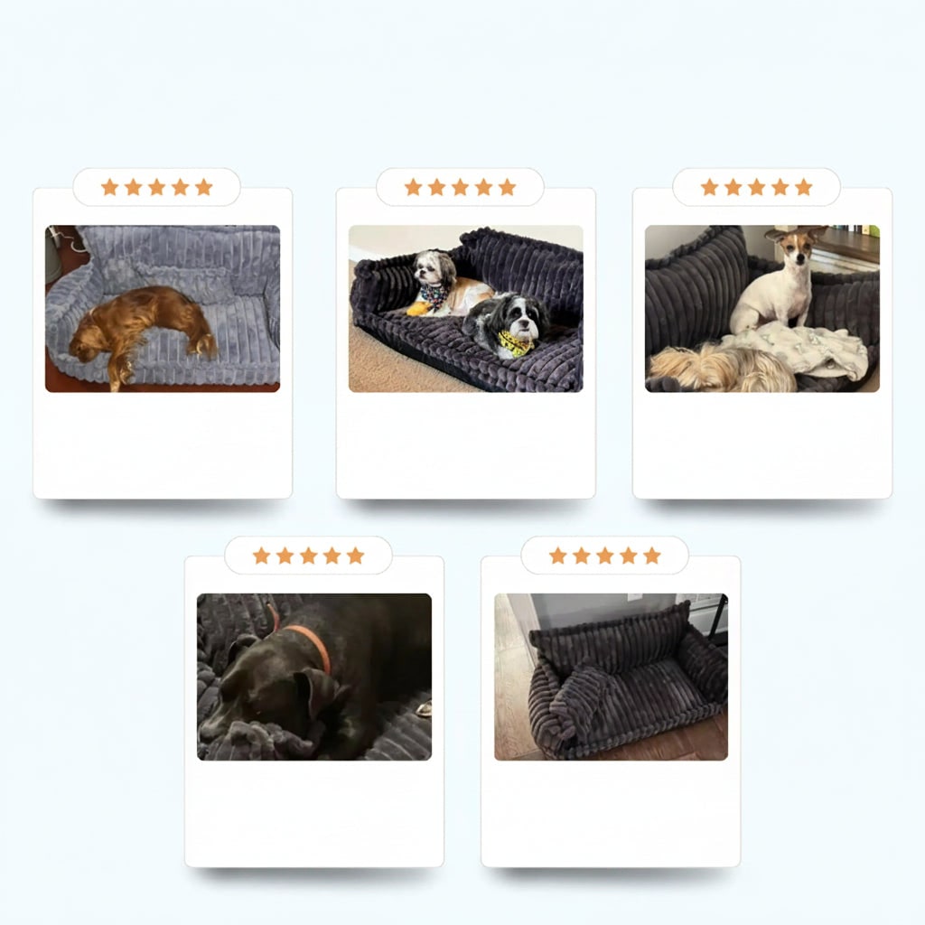 Comfortable Orthopedic Dog Couch with Supportive Bolsters