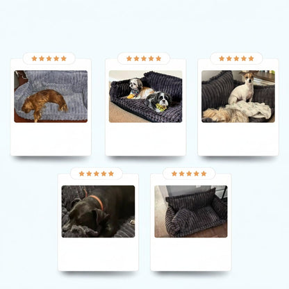 Comfortable Orthopedic Dog Couch with Supportive Bolsters