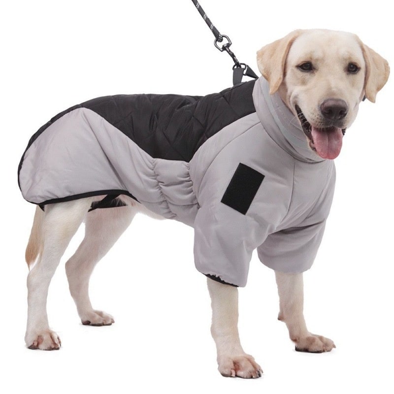 Insulated Winter Coat for Large Dogs with Waterproof Shell