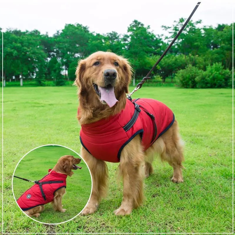 Winter Dog Jacket with Reflective Harness – Waterproof Design