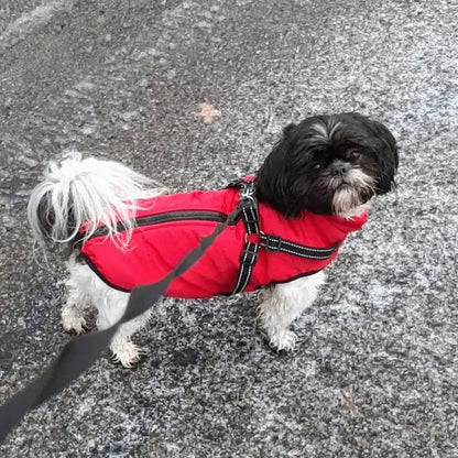 Winter Dog Jacket with Reflective Harness – Waterproof Design