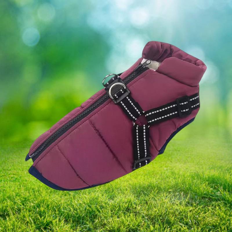 Winter Dog Jacket with Reflective Harness – Waterproof Design
