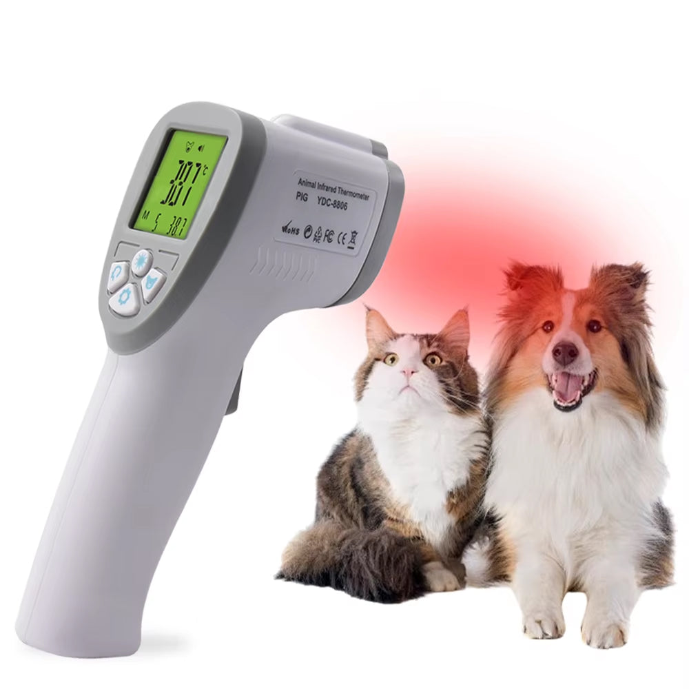 Digital Electronic Scale for Accurate Weight Measurements