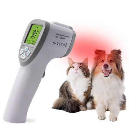 Digital Electronic Scale for Accurate Weight Measurements