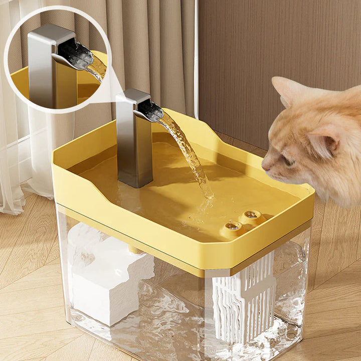 Pet Water Dispenser with Automatic Function
