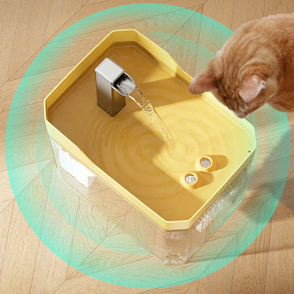 Pet Water Dispenser with Automatic Function