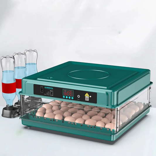 Digital Egg Incubator with Adjustable Tray for Hatching Eggs
