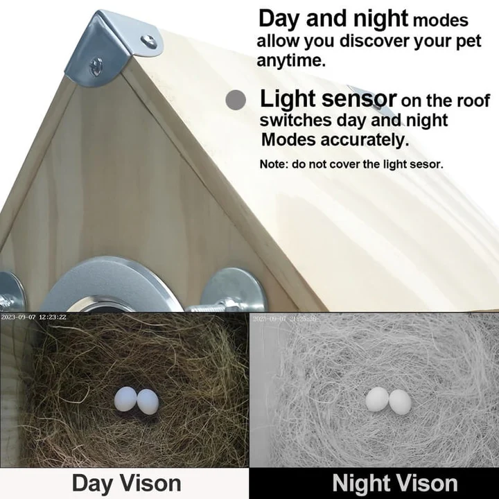 Nesting Feeder for Bird Watching
