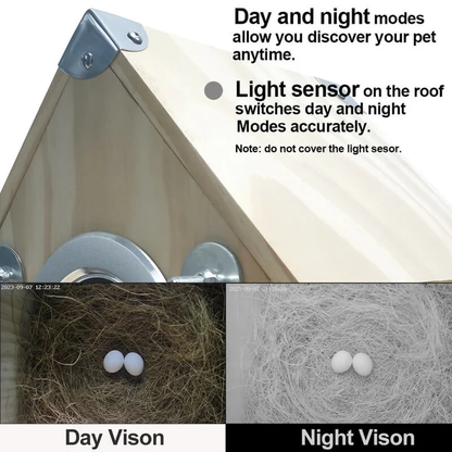 Nesting Feeder for Bird Watching