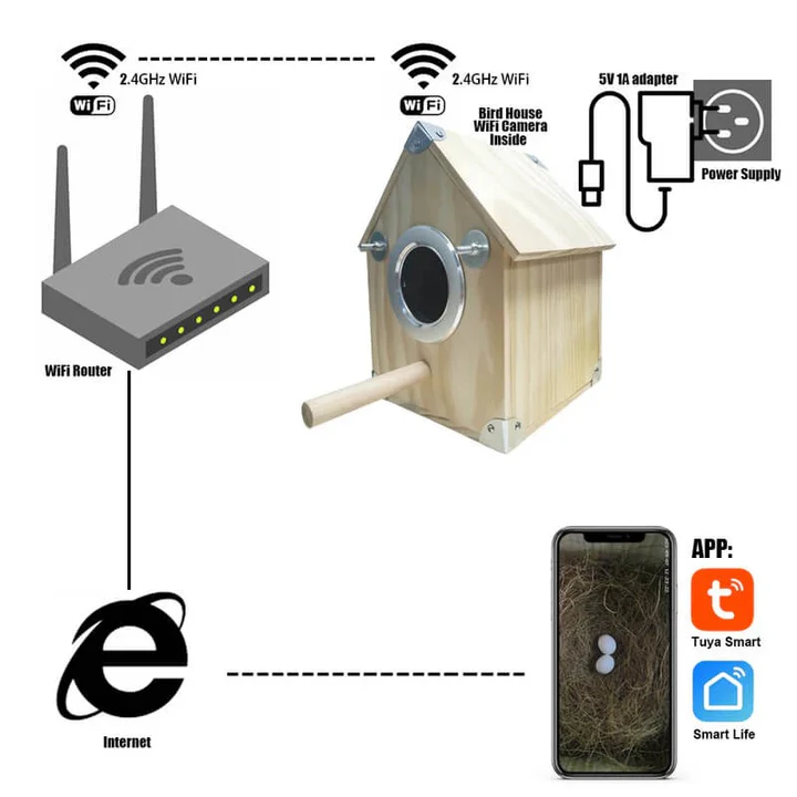 Nesting Feeder for Bird Watching