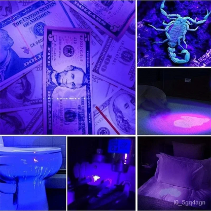 UV Light Detection Tool for Bed Bugs and Stains