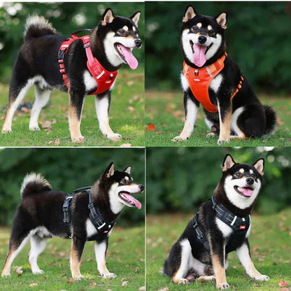 Lightweight No-Pull Harness for Safe and Stylish Walks