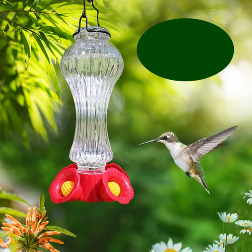 Glass Hummingbird Feeder with Flower Design and Ant Moat