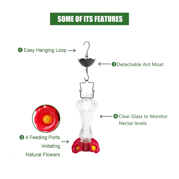 Glass Hummingbird Feeder with Flower Design and Ant Moat