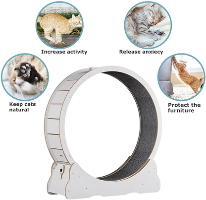Cat Fitness Wheel for Exercise and Play