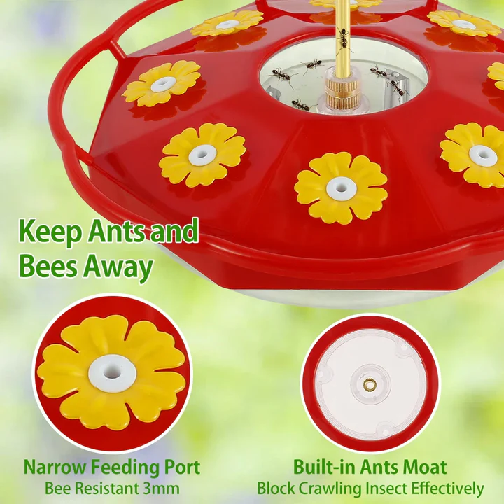 Hummingbird Feeder in Flower Shape