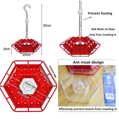 Hummingbird Feeder Featuring Integrated Ant Moat