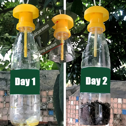 Hanging Cover Fruit Fly Trap