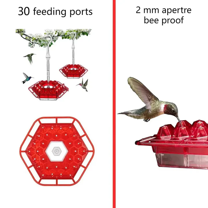 Outdoor Garden Feeder for Hummingbirds with Ant Moat
