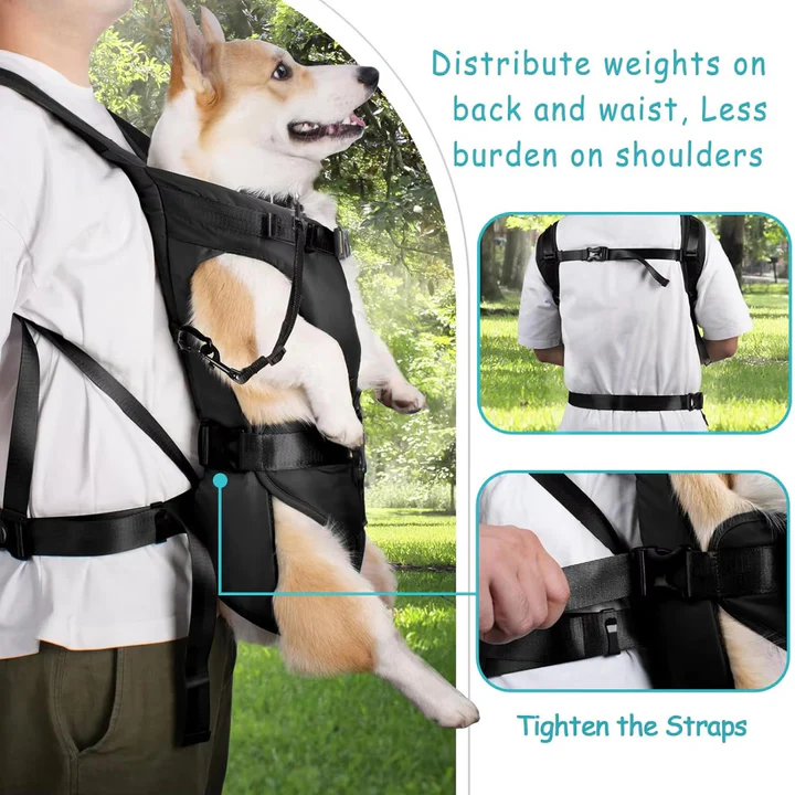 Backpack for Carrying Dogs