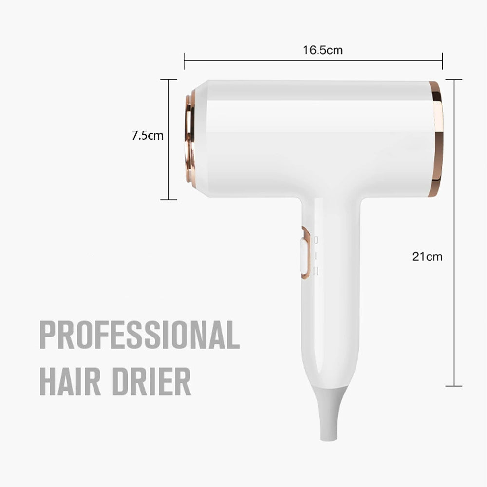 2400 Professional Hair Dryer | Ionic Technology | Fast & Gentle Styling