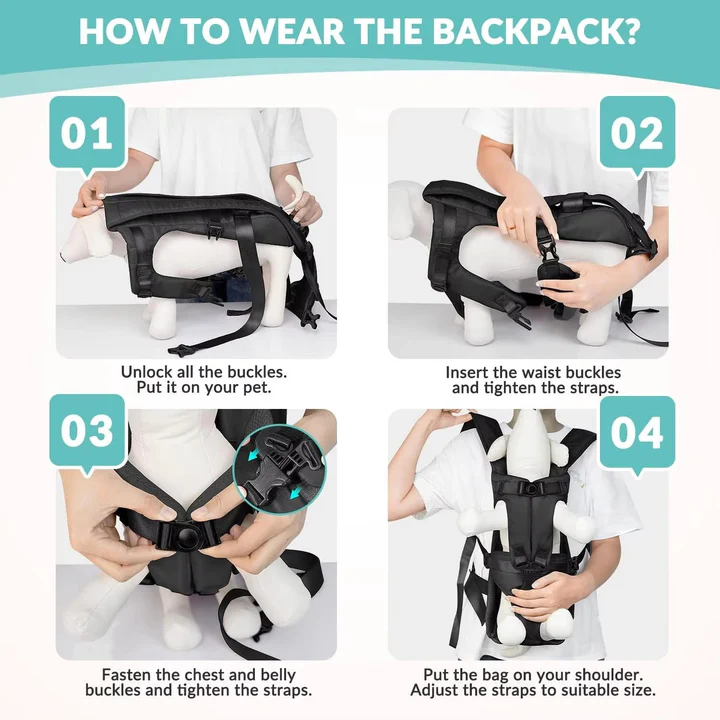 Backpack for Carrying Dogs