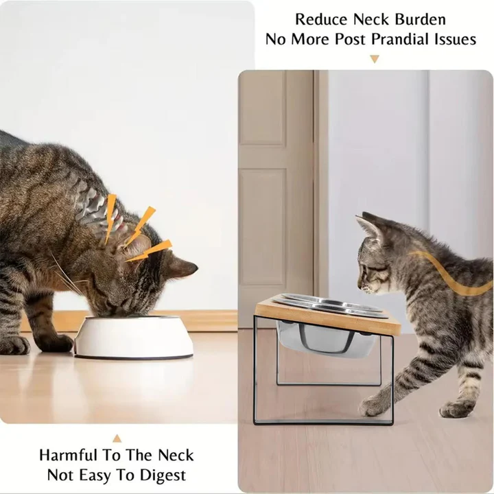 Elevated Cat Feeding Bowl for Enhanced Comfort