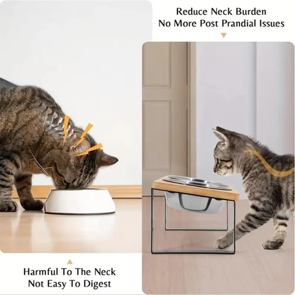 Elevated Cat Feeding Bowl for Enhanced Comfort