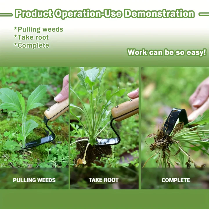 Wooden Handled Stainless Steel Tool for Weeding and Plant Removal