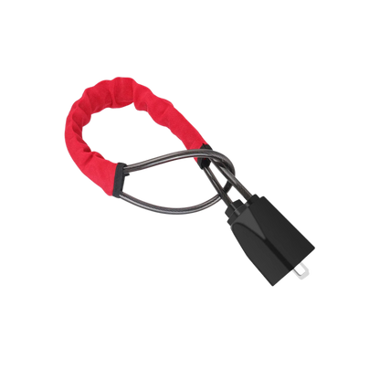 Double Lock Steering Wheel Security System