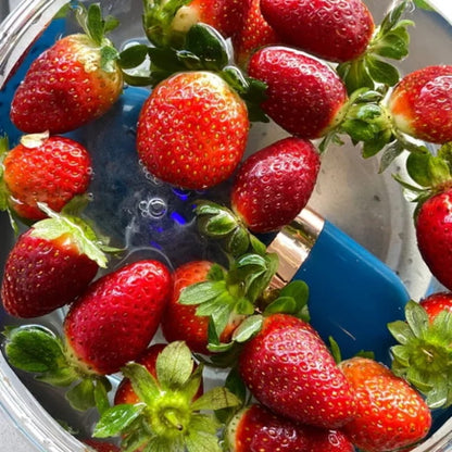 Instantly Eliminates 99% of Bacteria and Pesticides from Food
