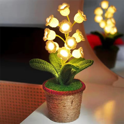 Cozy Night Comfort with Eternal Glow