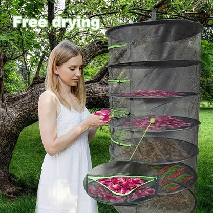Compact Design for Quick and Even Drying – DryEase Pro